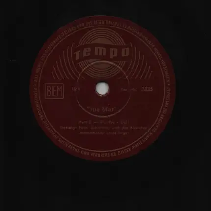 Die Kakadus - Tina Marie