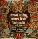 LP - Die Hammerauer Musikanten - 'Amoi Lustig, Amoi Stad' - Volksmusik Mit Den Hammerauer Musikanten