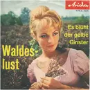 7inch Vinyl Single - Die Heimatsänger - Waldeslust - Mono