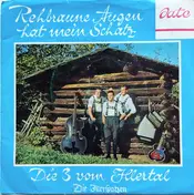 Die Illerspatzen - Rehbraune Augen Hat Mein Schatz