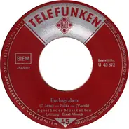Die Original Egerländer Musikanten - Fuchsgraben / Rauschende Birken