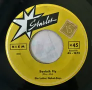 Die Lothar Nakat-Boys - Beatnik Fly