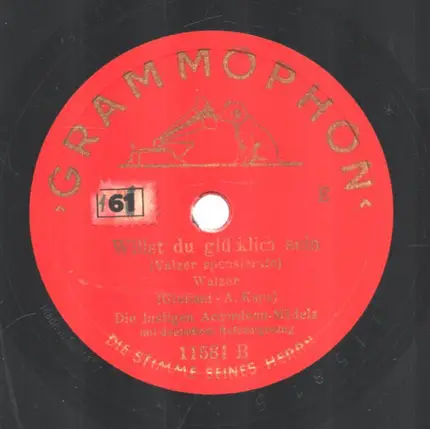 Die lustigen Accordeon-Mädels - Ja, das hat der Casanova / Willst du glücklich sein