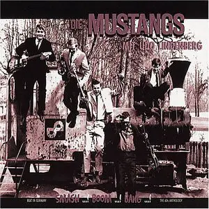 Die Mustangs - Beat In Germany, The 60's Anthology