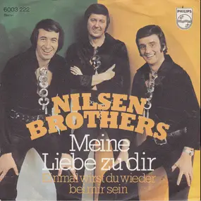 Die Nilsen Brothers - Meine Liebe Zu Dir