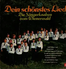 Die Sängerknaben vom Wienerwald - Dein Schönstes Lied