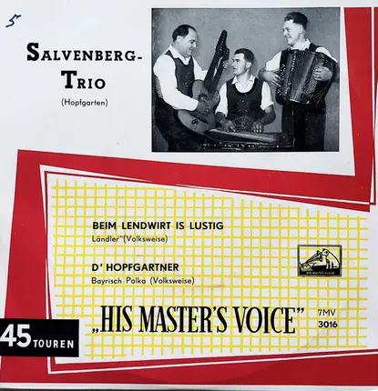 Die Salvenbergler - Beim Lendwirt Is Lustig / D' Hopfgartner