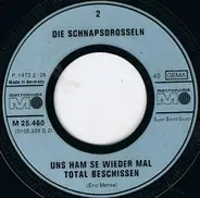Die Schnapsdrosseln - 's Ist Alles Scheisse