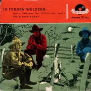 Die Sieben Raben - In Fernen Wäldern