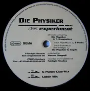 Die Physiker - Das Experiment