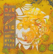 Die Warzau - Big Electric Metal Bass Face