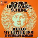 7inch Vinyl Single - Die Westfälischen Nachtigallen Leitung: Dietmar Hahn - Scheine, Liebe Sonne, Scheine / Hello My Little Boy