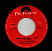 7inch Vinyl Single - Die Westfälischen Nachtigallen - Scheine, Liebe Sonne, Scheine / Hallo My Little Boy