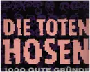 12inch Vinyl Single - Die Toten Hosen - 1000 Gute Gründe