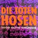 12inch Vinyl Single - Die Toten Hosen - 1000 Gute Gründe
