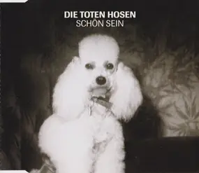 Die Toten Hosen - Schön Sein