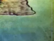 CD - Dieter Moebius - Blotch