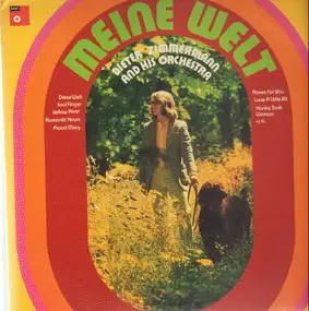 Dieter Zimmermann And His Orchestra - Meine Welt