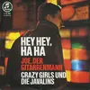 7'' - Die Crazy Girls Und The Javalins - Hey Hey, Ha Ha / Joe, Der Gitarrenmann