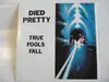7inch Vinyl Single - Died Pretty - True Fools Fall