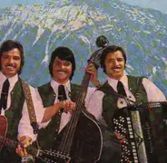 die feil-buam - singen und spielen