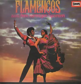 Die Flamenco-Gruppe 'Antonio Arenas' - Flamencos Aus Dem Sonnigen Spanien