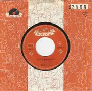 7'' - Die James Brothers - Wenn Du Heute Ausgehst / Die Jungen Jahre