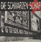 Die Schwarzen Schafe - Auf der Suche Nach dem Licht