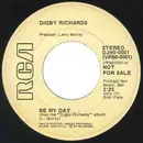 7inch Vinyl Single - Digby Richards - Be My Day