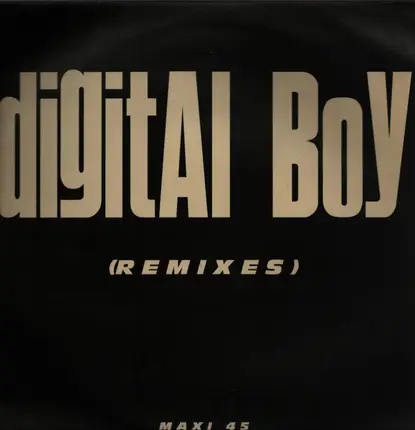Digital Boy with Asia - The Mountain Of King (Remixes)