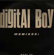 Digital Boy with Asia - The Mountain Of King (Remixes)