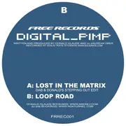 12inch Vinyl Single - Digital Pimp - Lost In The Matrix / Loop Road