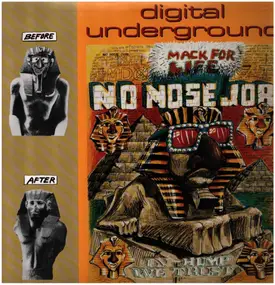 Digital Underground - No Nose Job