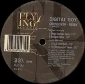 digital boy - Crossover (Remix)