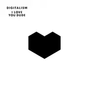 LP - Digitalism - I Love You Dude