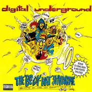 Digital Underground - The 'Body-Hat' Syndrome