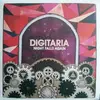 Double LP - Digitaria - Night Falls Again