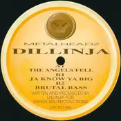 Dillinja - The Angels Fell
