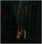 Dir en Grey