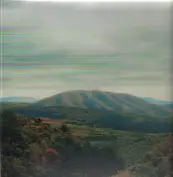 The Dirty Projectors