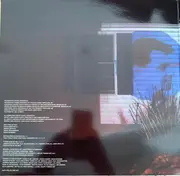 LP - Dirty Projectors - Bitte Orca