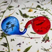 The Dirty Projectors - Lamp Lit Prose