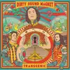 LP - Dirty Sound Magnet - Transgenic - HQ-Vinyl LIMITED