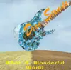 CD - Dire Straits - What A Wonderful World