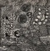 direct control - Bucktown Hardcore