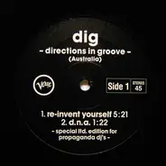 Directions In Groove - Dig