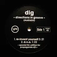 Directions In Groove - Dig