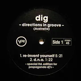 Directions in Groove - Dig