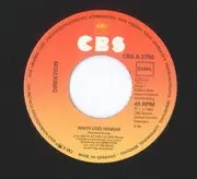7inch Vinyl Single - Direktion - Haiti Und Hawaii