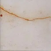 The Dirges - Wings of Lead Over Dorm..